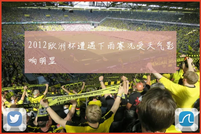 2012欧洲杯遭遇下雨赛况受天气影响明显